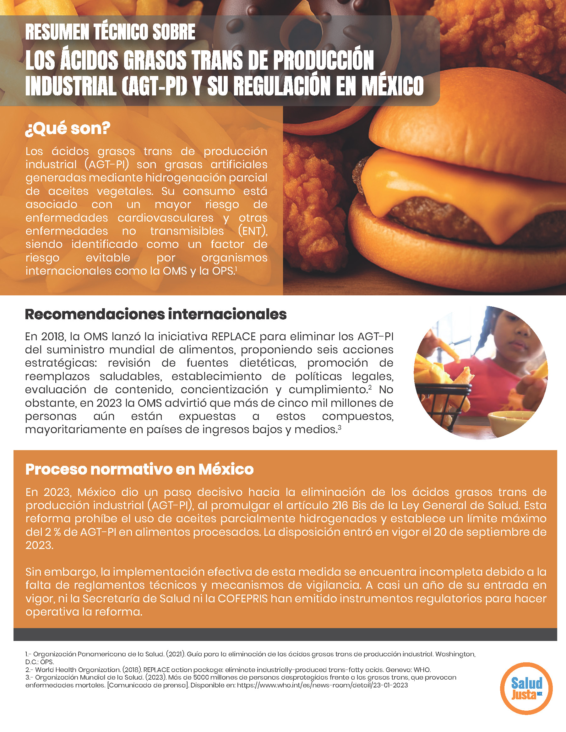 Resumen técnico sobre los ácidos grasos trans